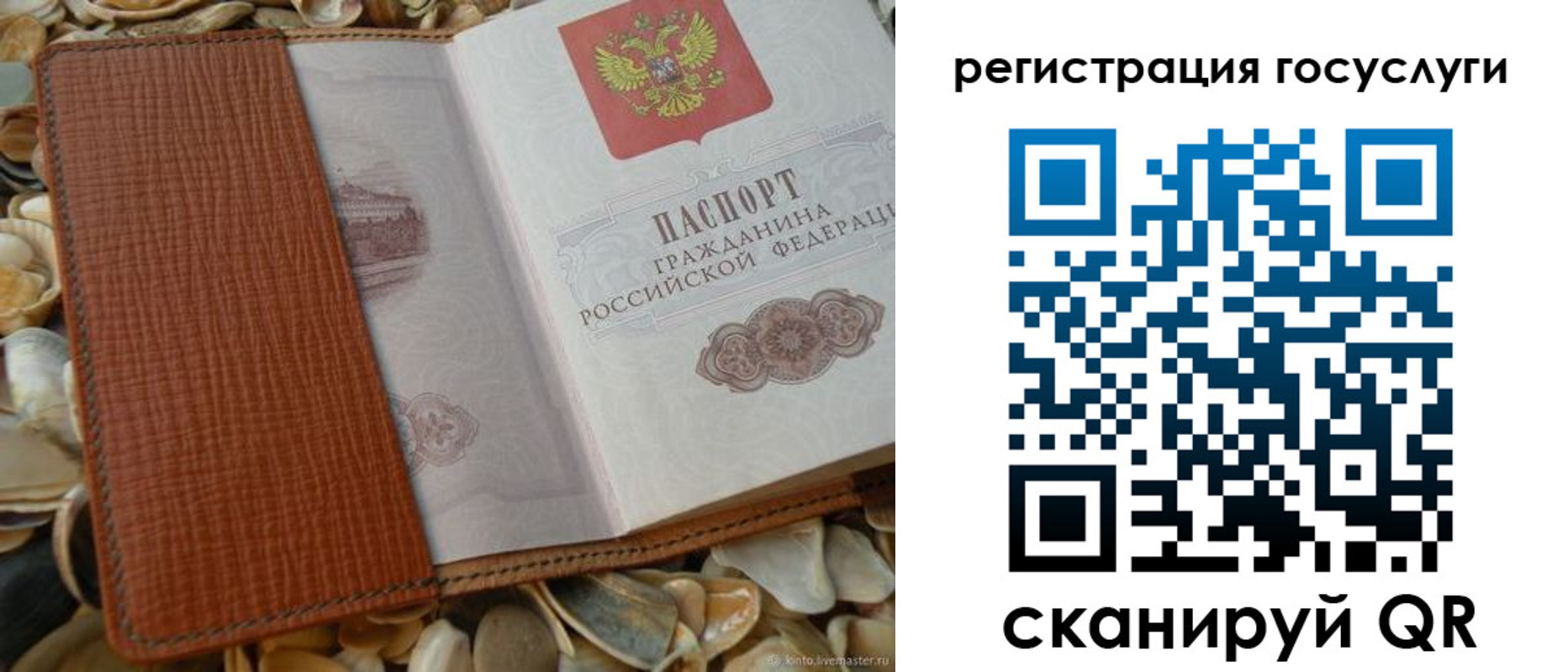 временная регистрация в квартире в Ростовской области